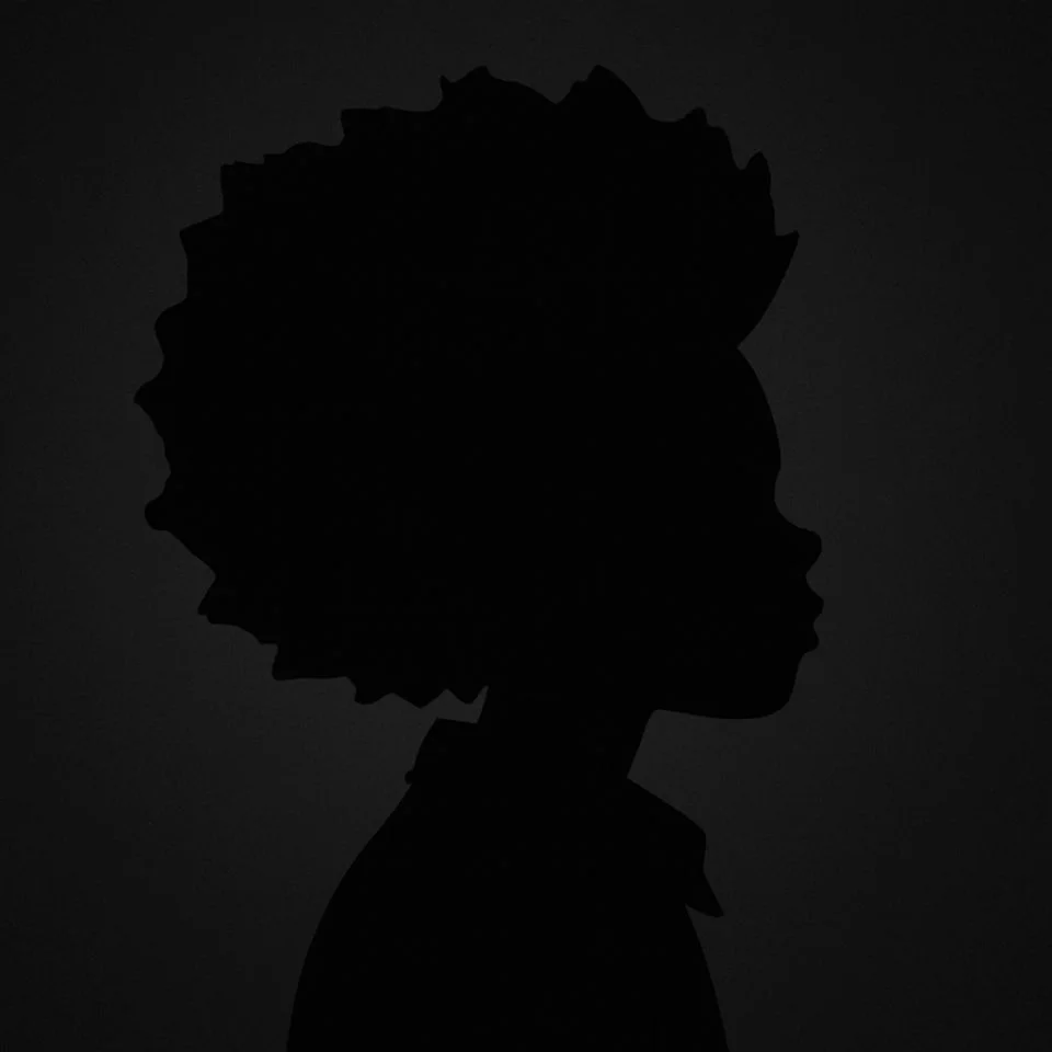 Boondocks silhouette profile picture dark theme