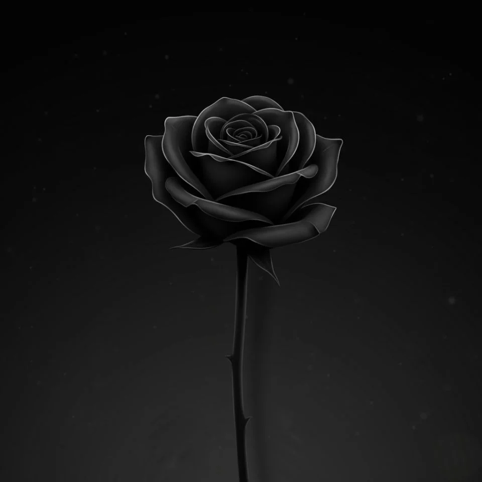 dark-flower-pfp-minimal-black minimal black flower icon with dark gradient background